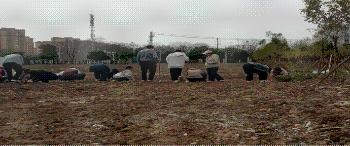 2025-03-30 20:18:56.355000