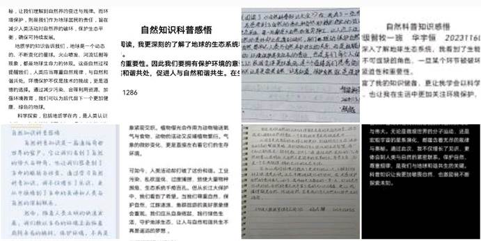 qq_pic_merged_1741580194896