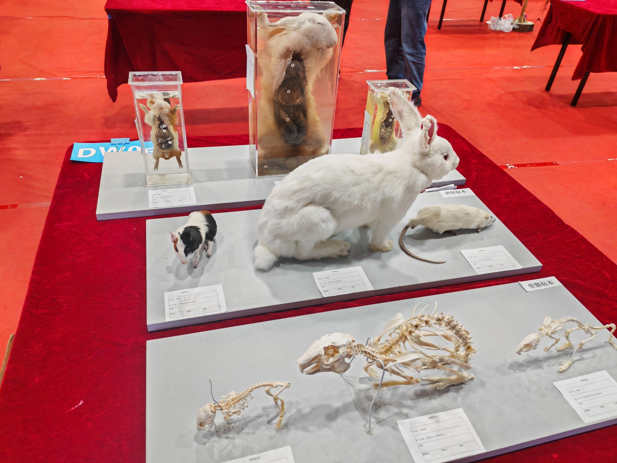 29a3b7f4bfba94a0aad60e50ec6fe7f5