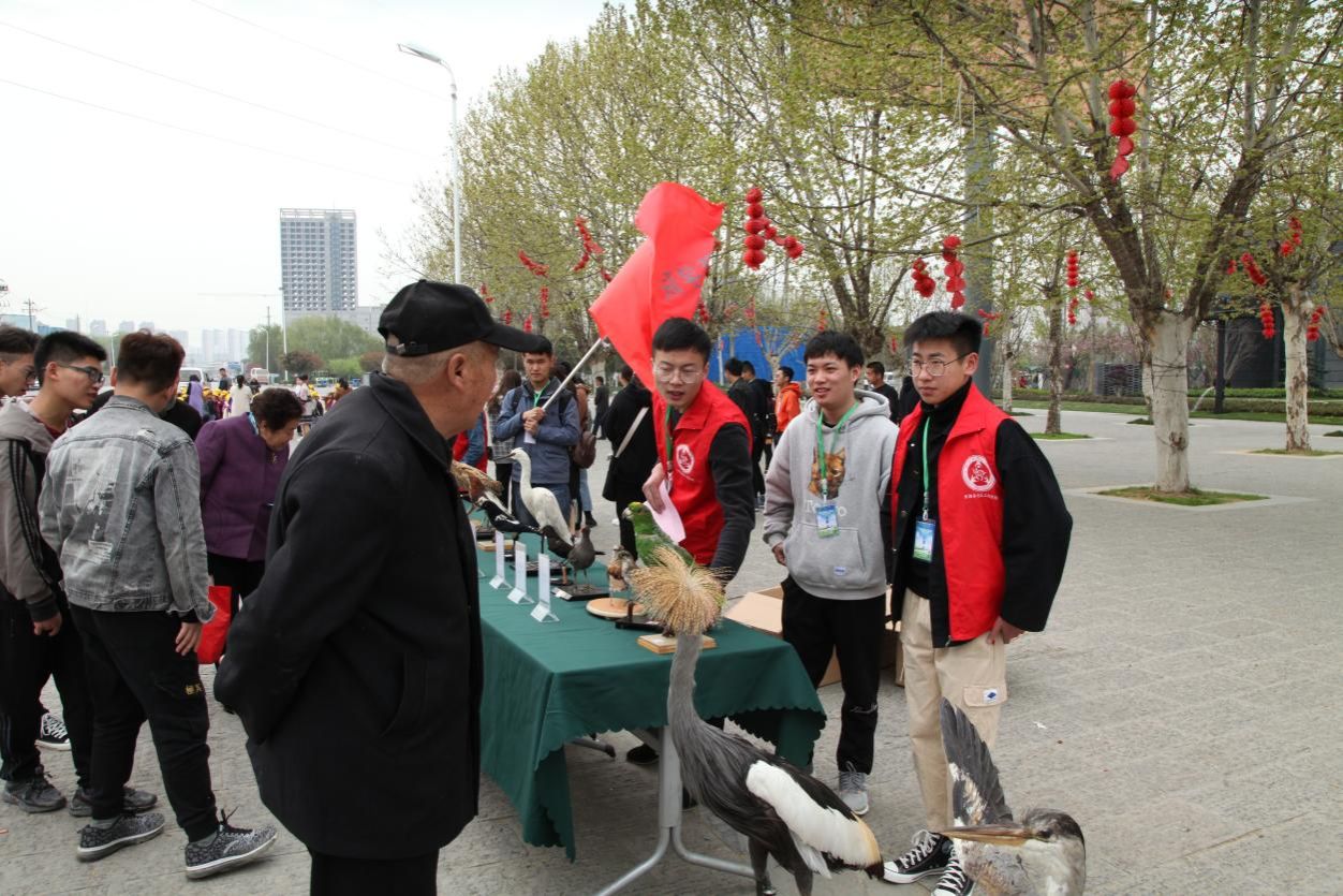 d6d23d54f661748ccb5f6c4c90ee311